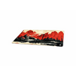 Sharkoon SKILLER SGP40 D11 Gaming Mouse Pad (Red/Multicolor) (4044951042586)